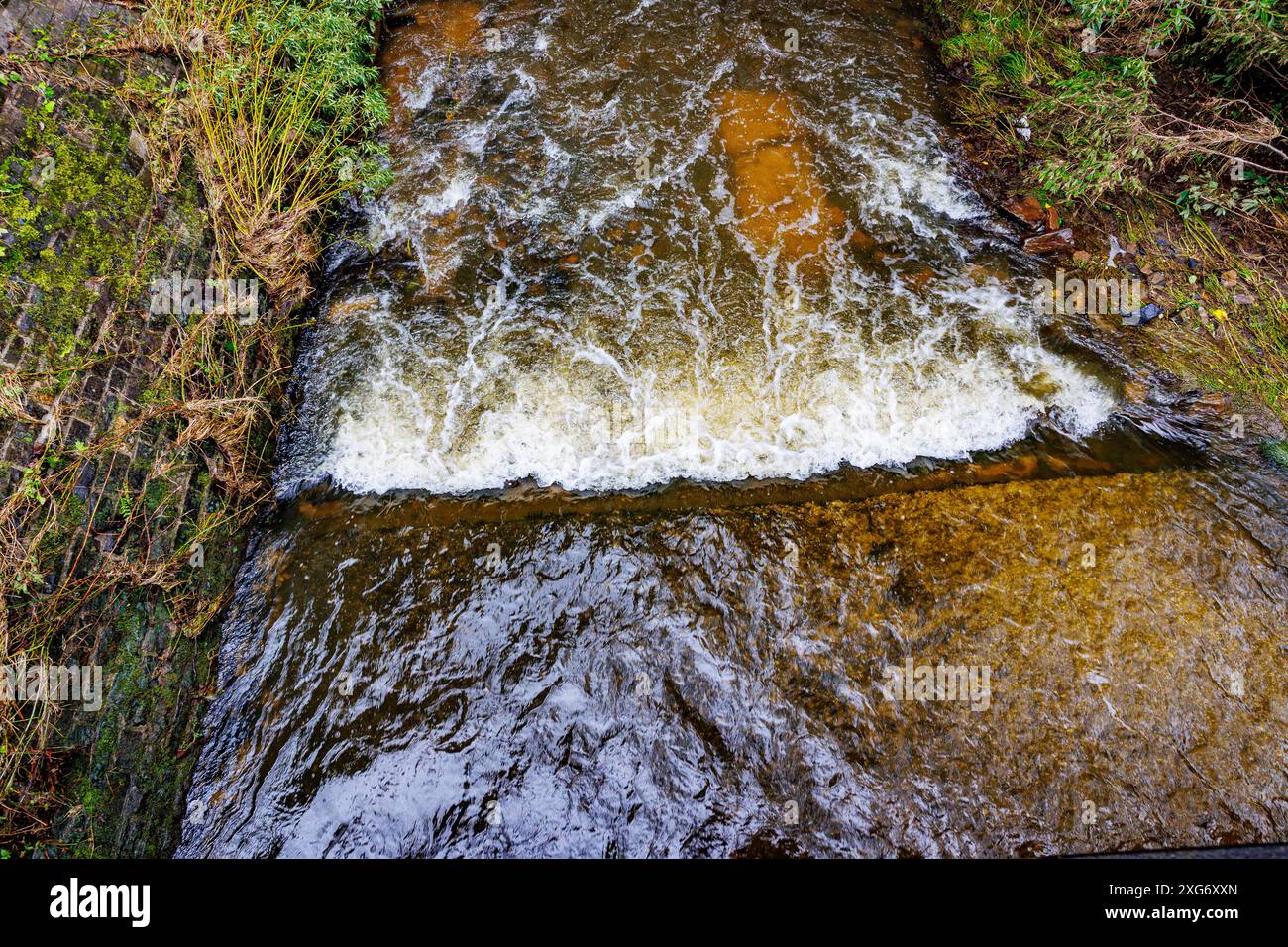 Eau coulant dans une rivière peu profonde avec des déclins dans le sol entre mur de briques et végétation sauvage, jardins de l'abbaye du Val-Dieu à Aubel, Belgique Banque D'Images