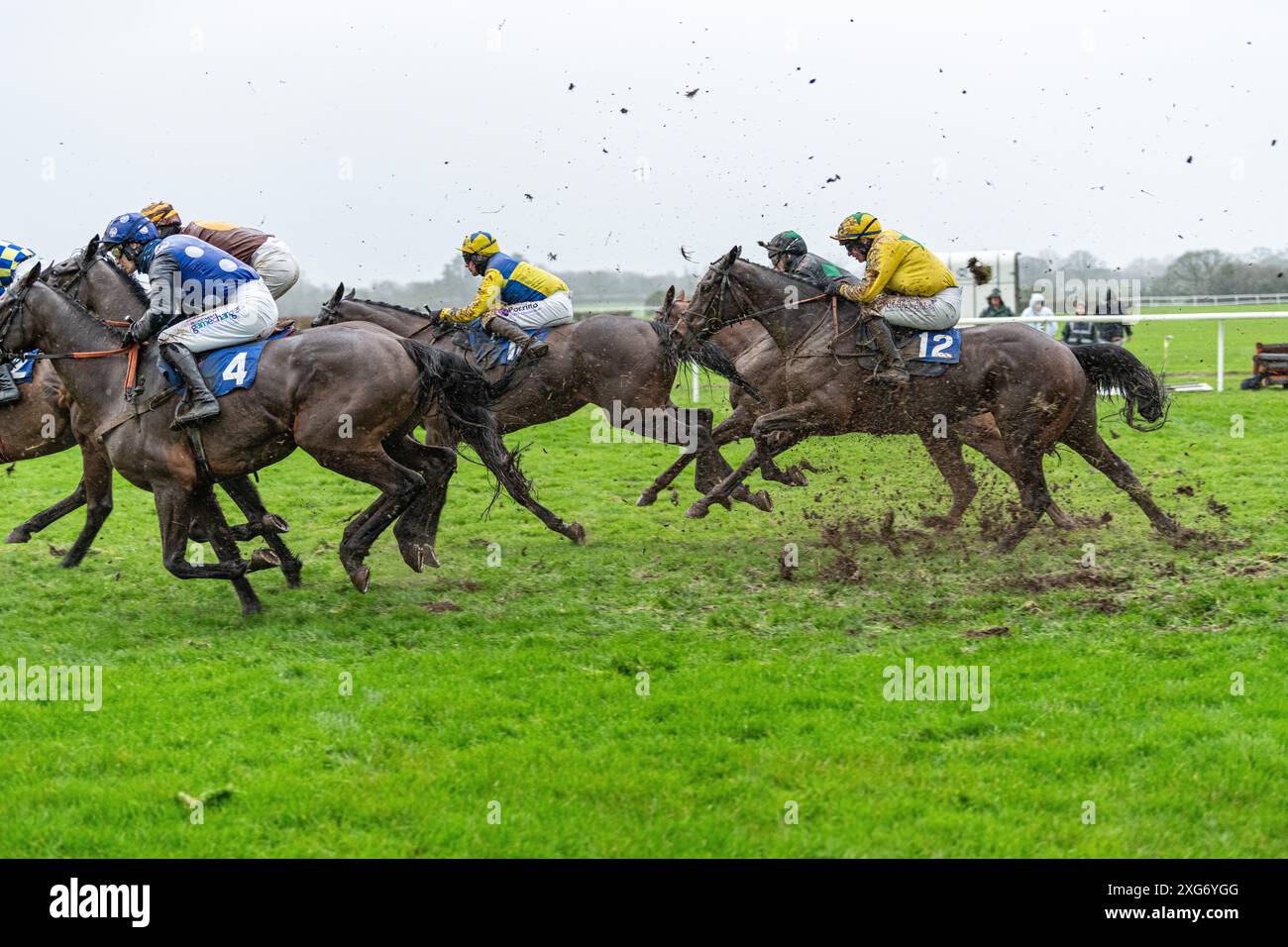 Courses de Wincanton, Sixième course, 8 janvier 2022 Banque D'Images