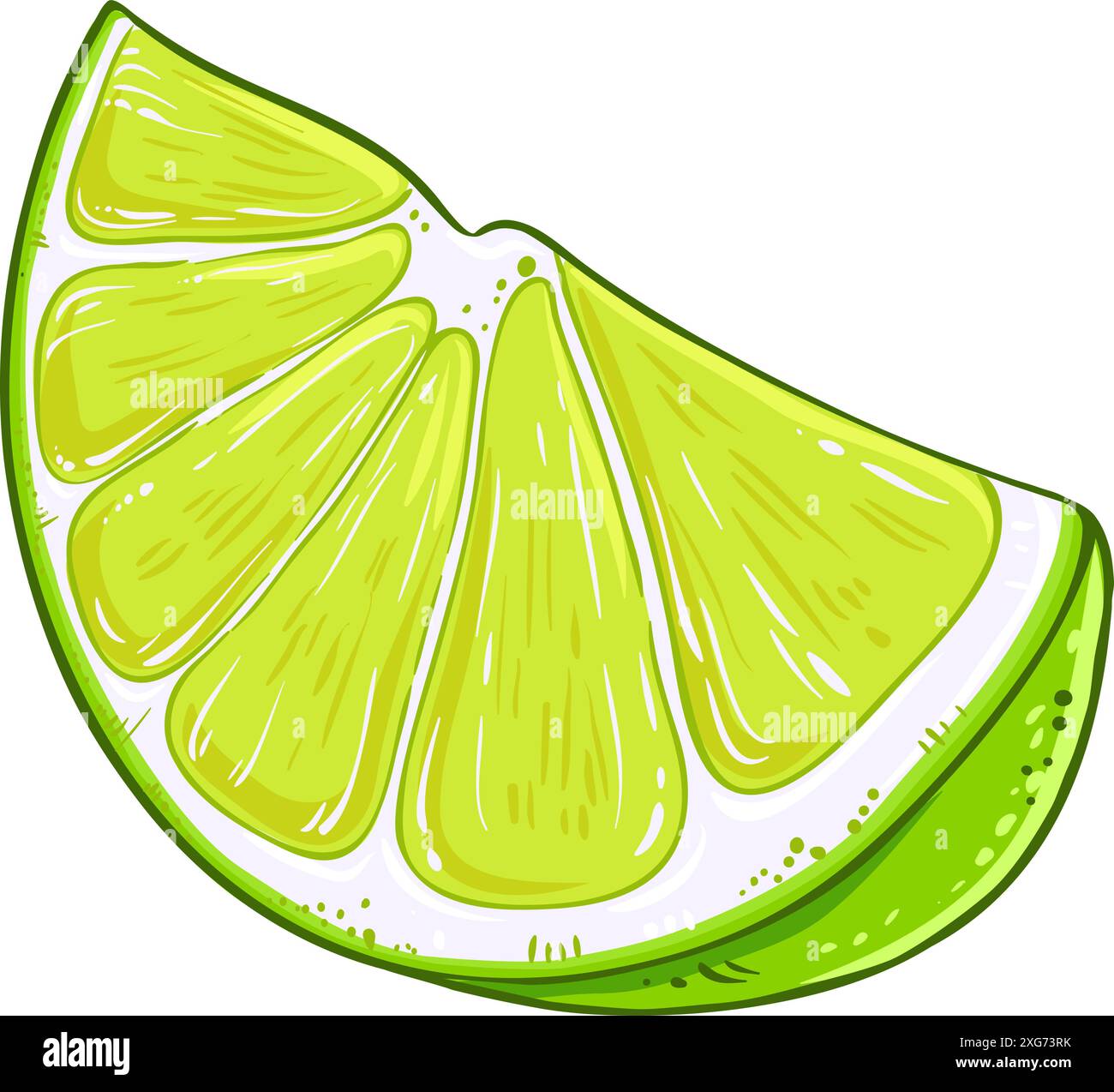 Illustration détaillée colorée de fruit de citron vert Illustration de Vecteur