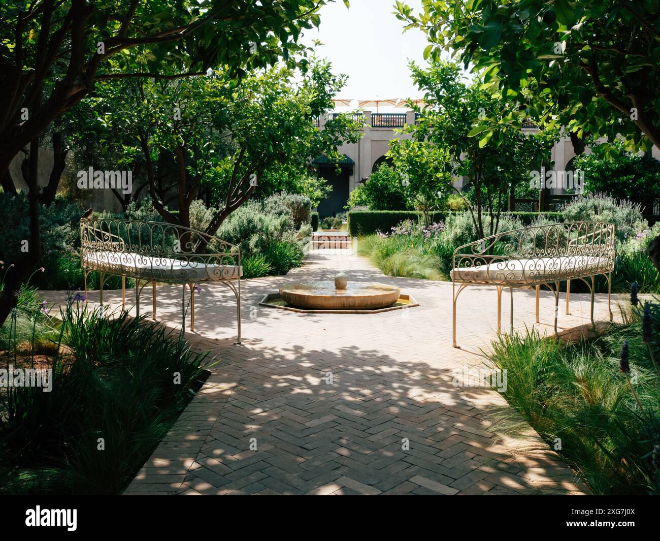 Jardin serein avec bancs ornés et fontaine tranquille, entouré de verdure luxuriante et d'arbres exposés à la lumière naturelle. Banque D'Images