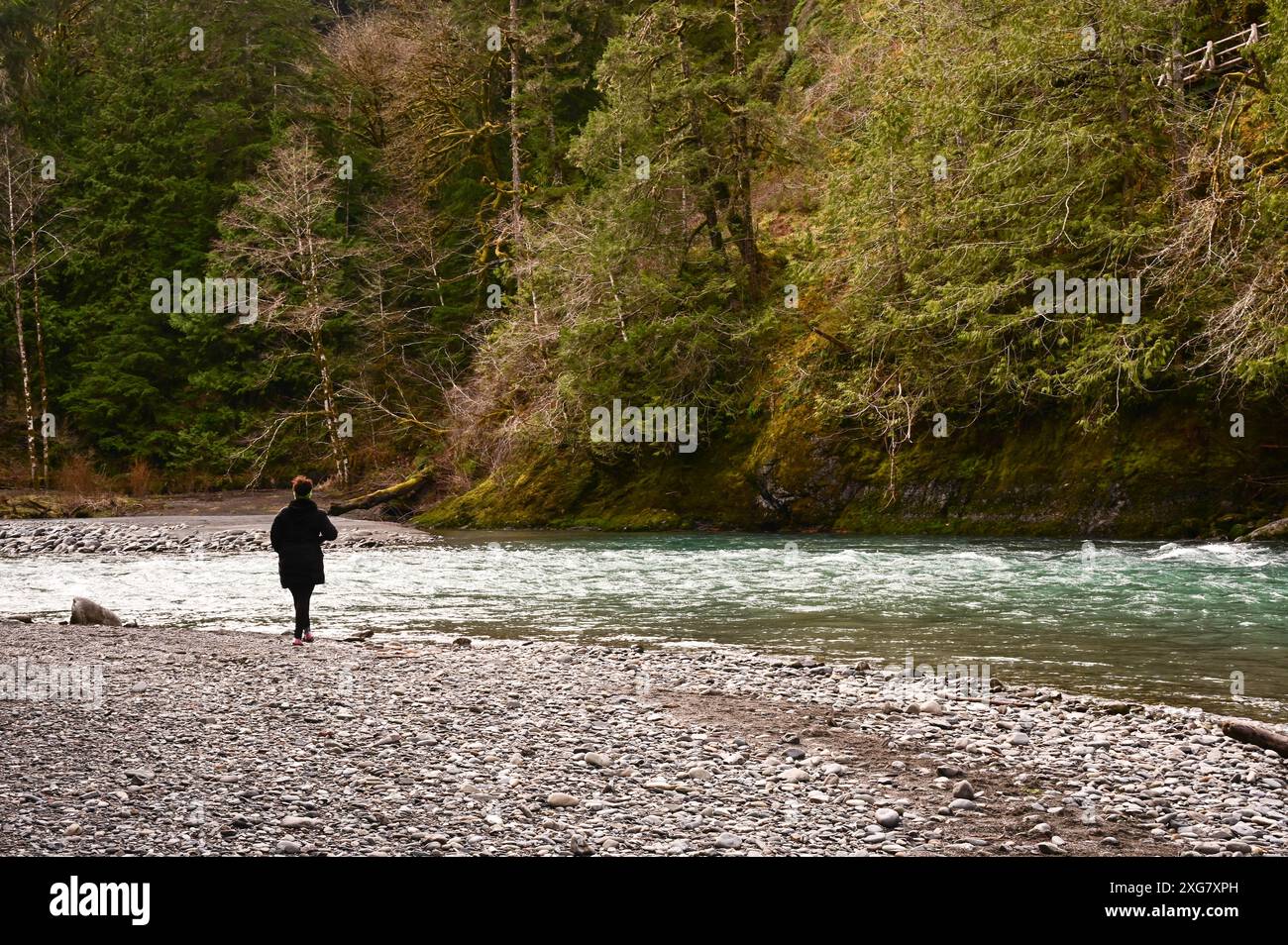 Profitez de la rivière Elwha, parc national olympique, État de Washington Banque D'Images