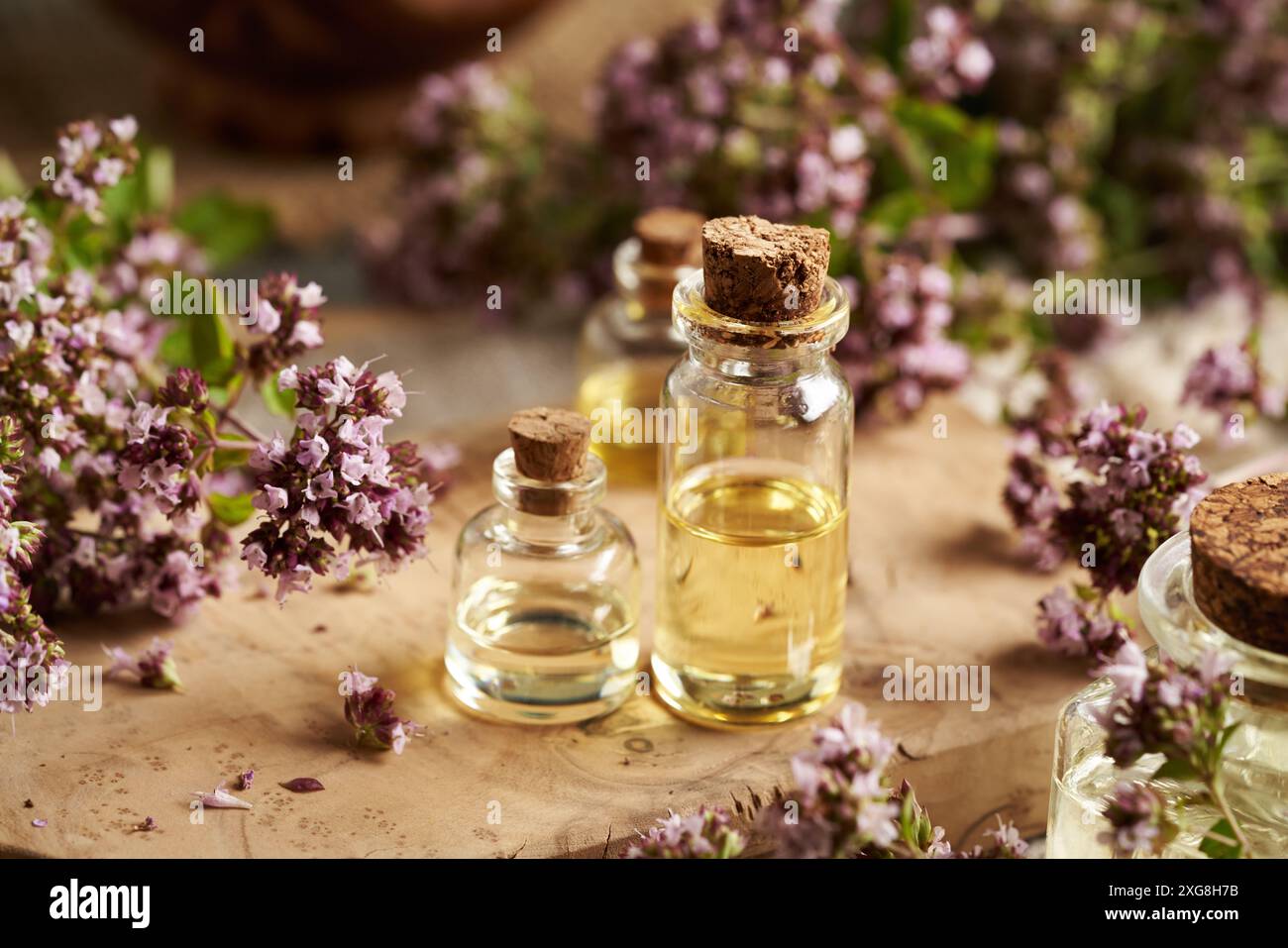 Bouteilles d'huile essentielle d'aromathérapie à l'herbe d'origan fraîche fleurie Banque D'Images