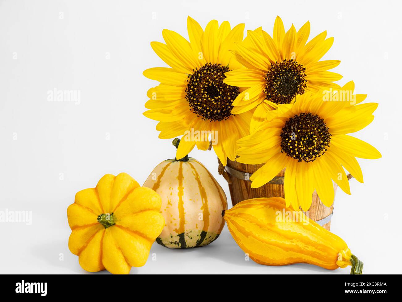 Tournesols et gourdes d'automne Banque D'Images