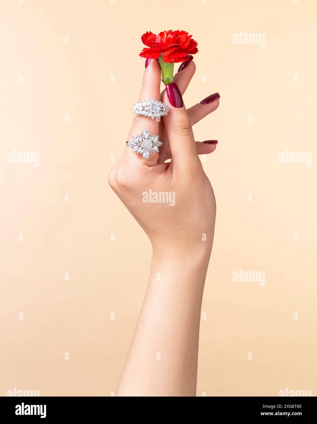 'Gros plan d'une main portant des bagues en diamant fleuri tenant une fleur rouge, sur un fond beige doux, mettant en évidence la conception élégante des bijoux.' Banque D'Images