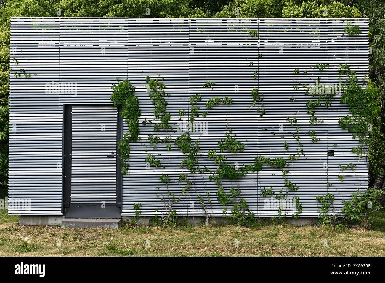 Une structure moderne avec une façade en lattes métalliques partiellement recouverte de plantes grimpantes vertes. Le bâtiment dispose d'une porte centrale et est placé contre un b. Banque D'Images