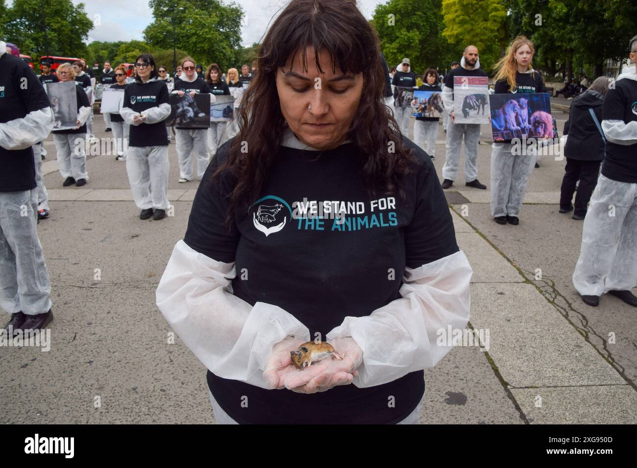 Londres, Royaume-Uni. 07 juillet 2024. Un activiste tient une souris morte pendant le mémorial We Stand for the Animals. Des militants des droits des animaux se sont réunis à Marble Arch avec des photos d'animaux exploités et de vrais animaux morts. L'événement annuel est un mémorial pour les milliards d'animaux tués, maltraités et exploités par les humains pour la nourriture, la mode, la chasse, les zoos, les expériences, et tous les autres domaines de l'activité humaine. Crédit : SOPA images Limited/Alamy Live News Banque D'Images