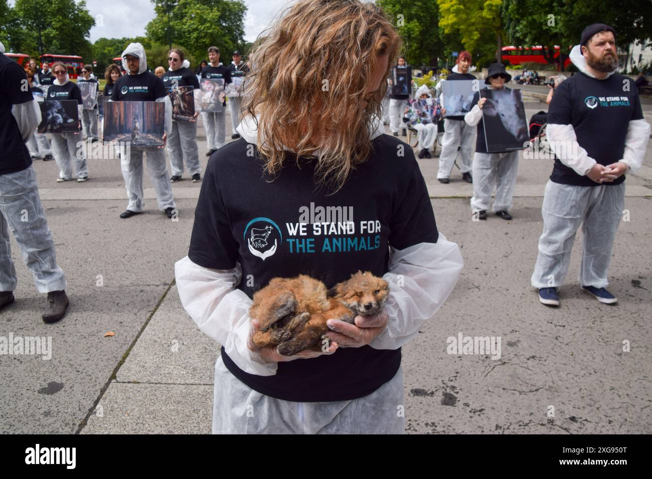 Londres, Royaume-Uni. 07 juillet 2024. Un activiste tient un renard mort pendant le mémorial We Stand for the Animals. Des militants des droits des animaux se sont réunis à Marble Arch avec des photos d'animaux exploités et de vrais animaux morts. L'événement annuel est un mémorial pour les milliards d'animaux tués, maltraités et exploités par les humains pour la nourriture, la mode, la chasse, les zoos, les expériences, et tous les autres domaines de l'activité humaine. Crédit : SOPA images Limited/Alamy Live News Banque D'Images