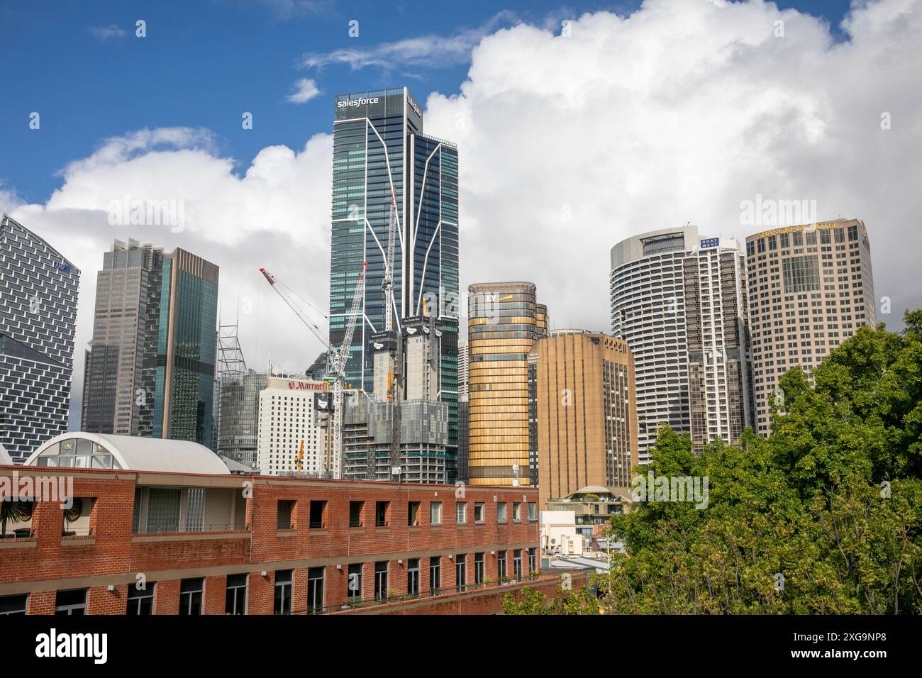 Horizon et paysage urbain du centre-ville de Sydney avec la tour Salesforce le plus haut gratte-ciel à côté du bâtiment AMP, des bureaux EY et des hôtels, Sydney, Australie Banque D'Images