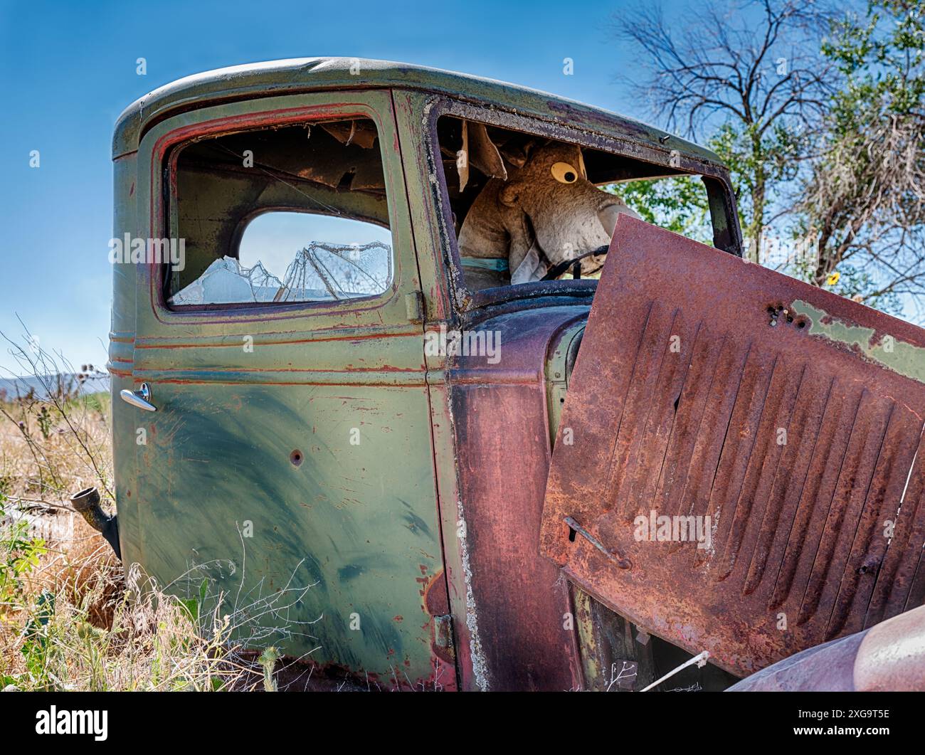 Un animal en peluche est assis derrière le volant d'un vieux camion de ferme rouillé près de Willow Creek, Oregon. Banque D'Images