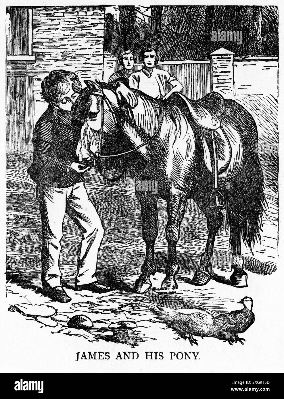 Gravure de James et son poney, vers 1880 Banque D'Images