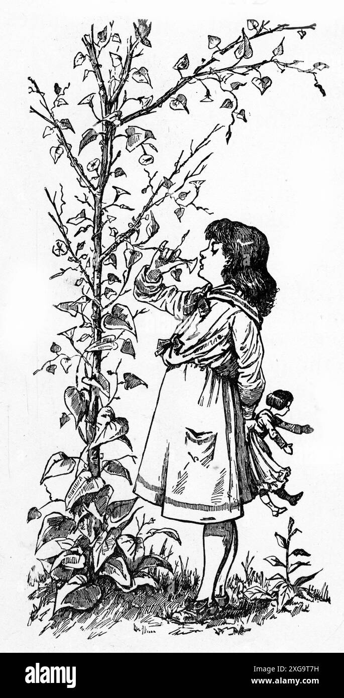 Gravure d'une fille prenant le temps de sentir les fleurs, vers 1880 Banque D'Images