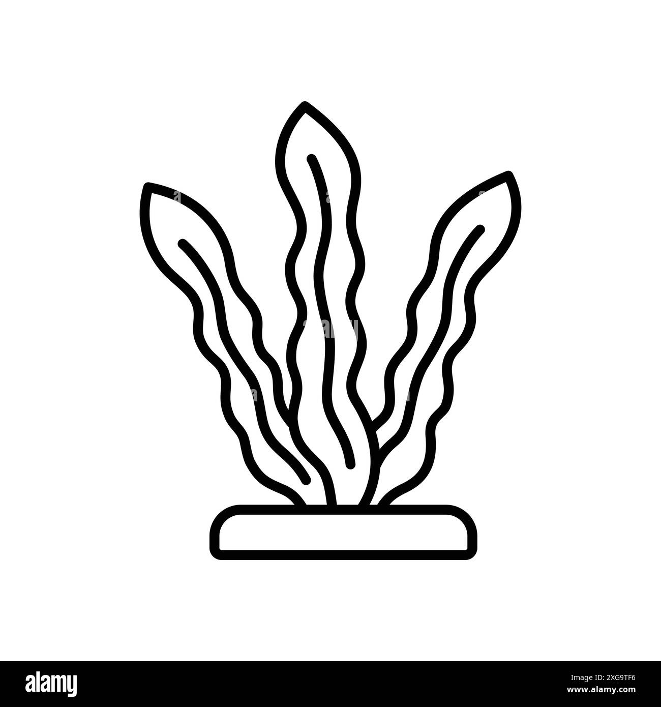 modèle de conception de vecteur d'icône d'algues en fond blanc Illustration de Vecteur