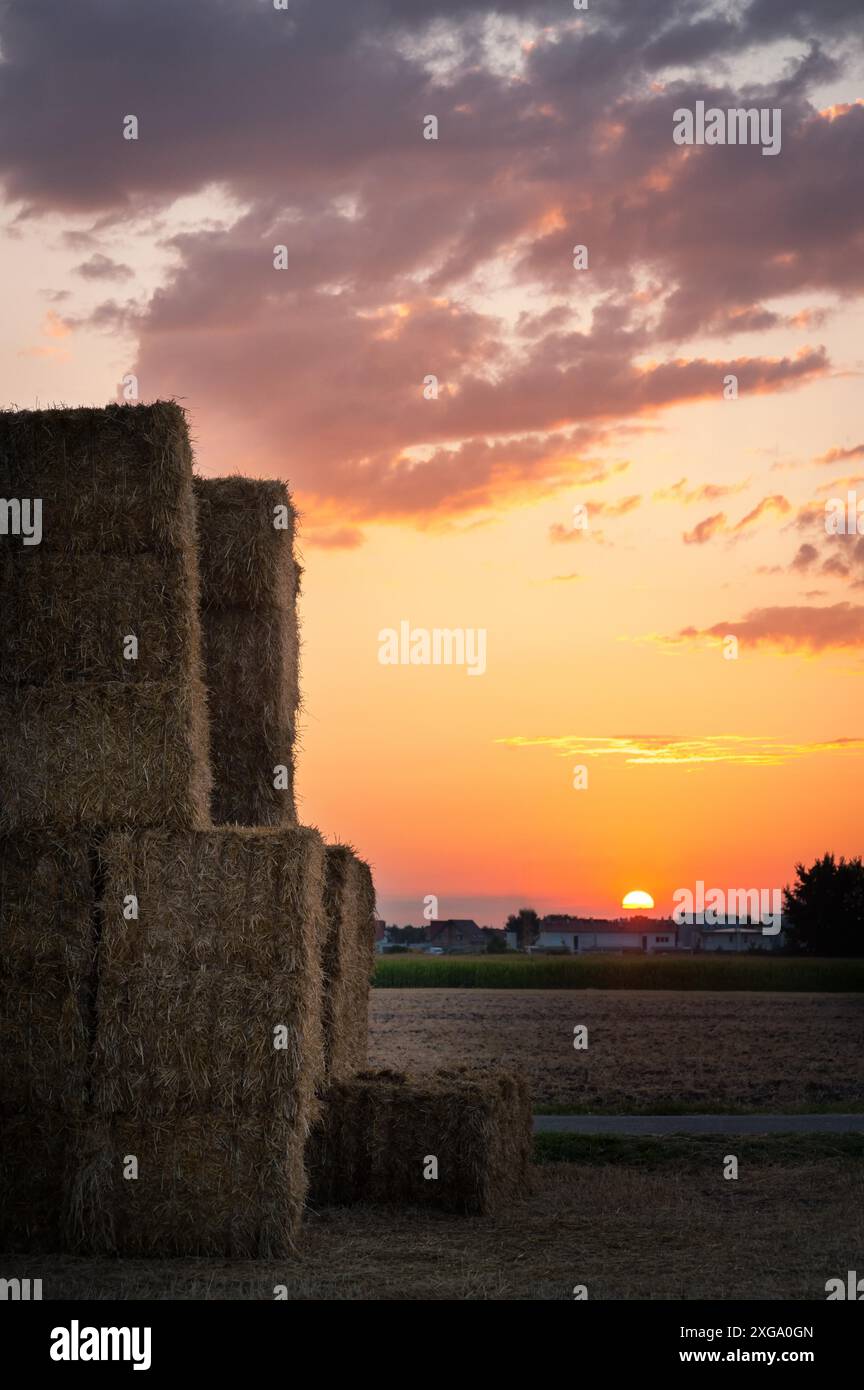 Balles de foin empilées sur un champ contre le ciel du lever du soleil Banque D'Images