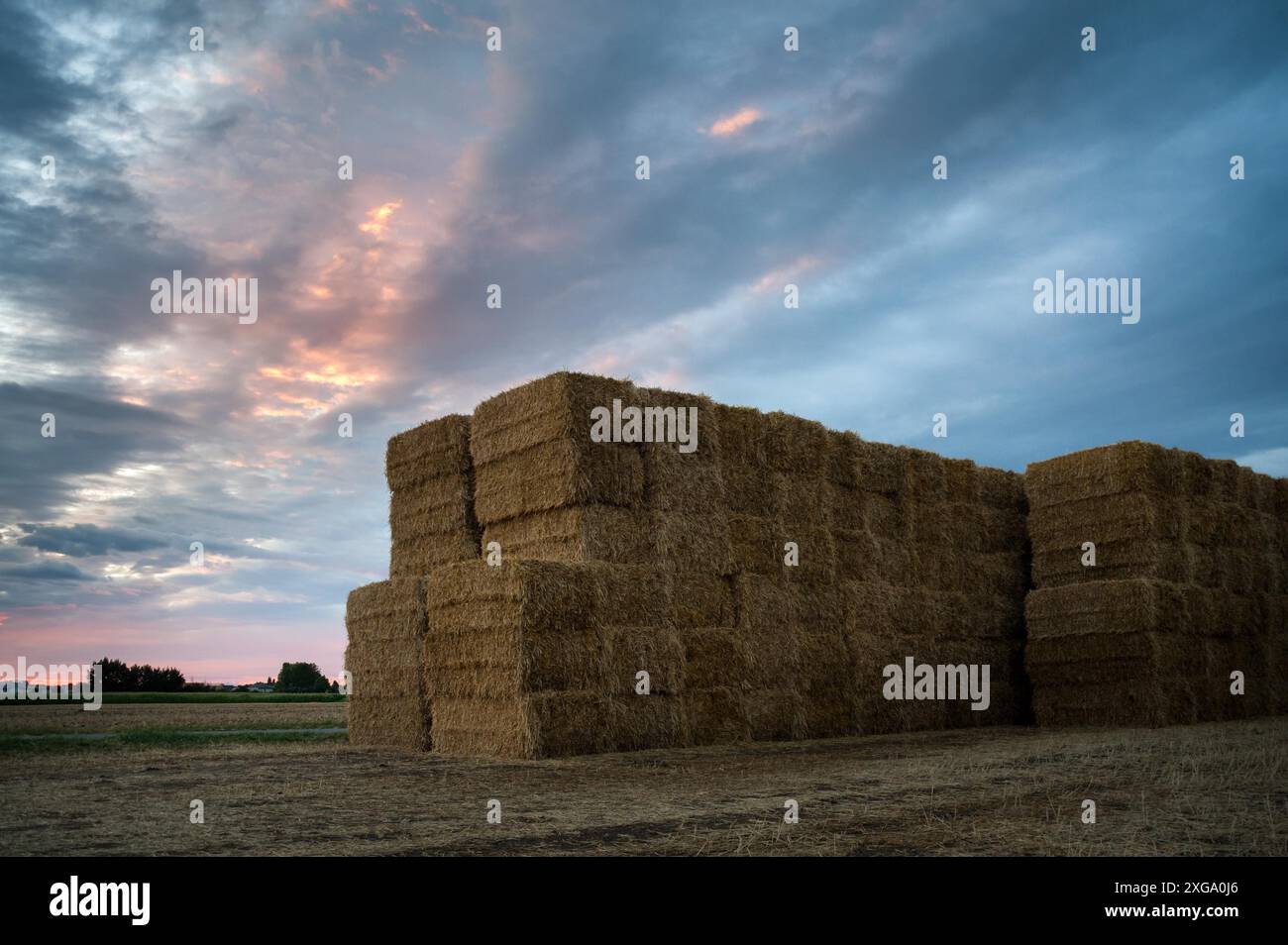 Balles de foin empilées sur un champ contre le ciel du lever du soleil Banque D'Images
