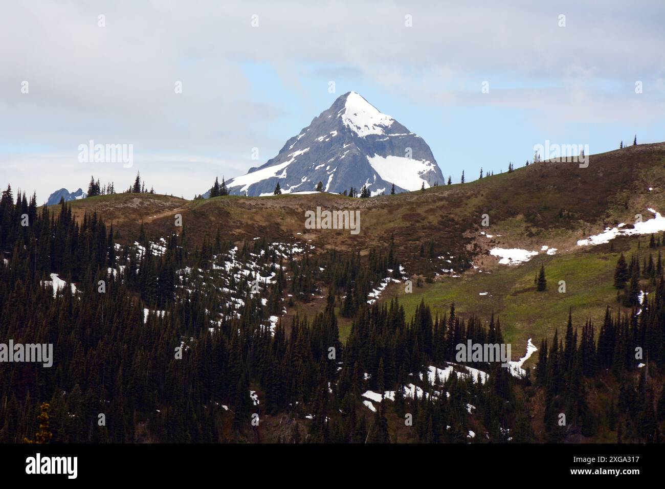 Les sommets et les crêtes de la chaîne Hozameen dans les montagnes des Cascades du Nord du Canada, parc provincial E.C. Manning, Colombie-Britannique, Canada. Banque D'Images