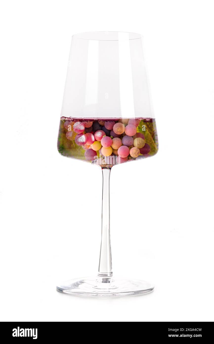 Concept du vin.Vignoble dans un collage de verre, isolé sur fond blanc.Raisins de vin rouge dans un verre de vin à la mode Banque D'Images