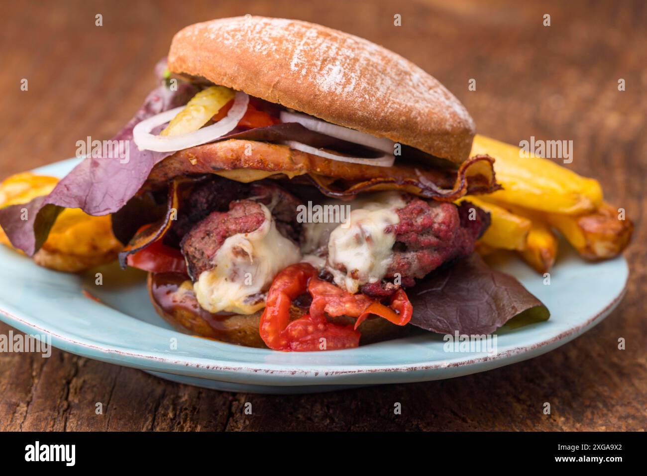 Hamburger de porc effiloché avec frites Banque D'Images