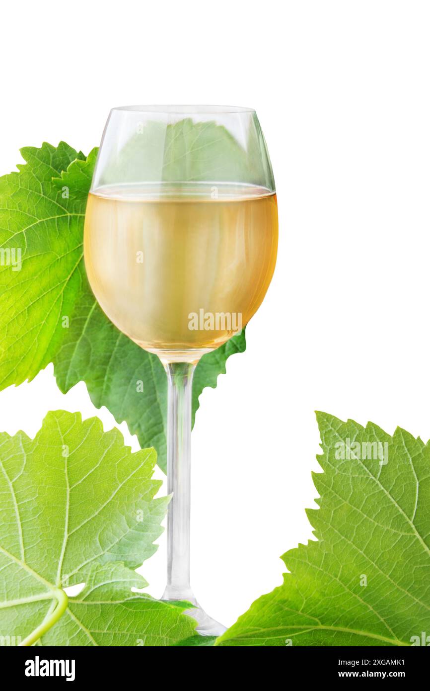 Un verre de vin blanc avec des feuilles isolées sur fond blanc Banque D'Images
