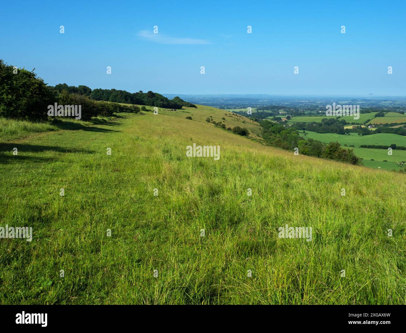 Regardant vers Clubman's Down avec Compton Abbas Beyond, Dorset, Angleterre, Royaume-Uni, juin 2021 Banque D'Images