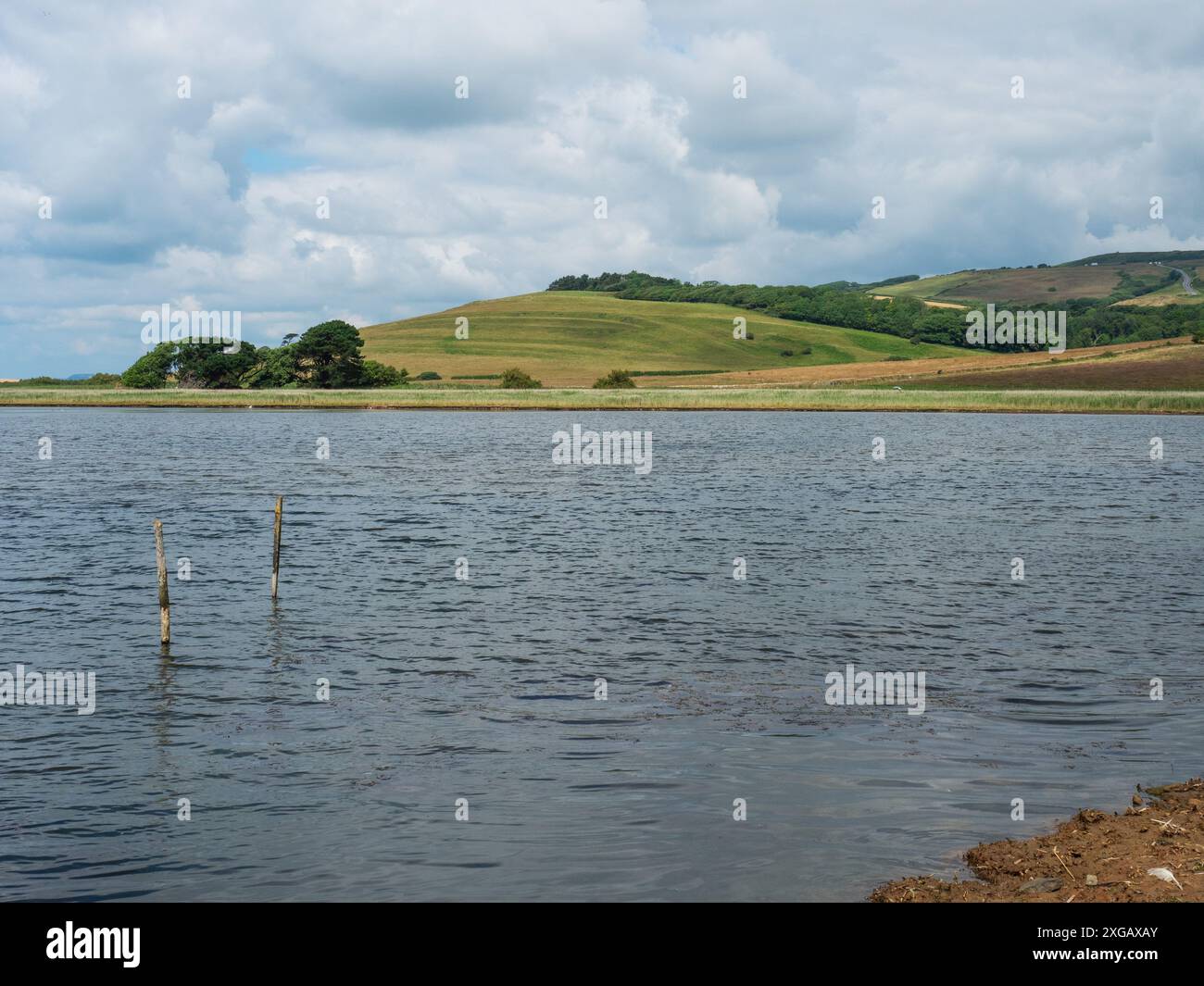 Partie de Abbotsbury Swannery et de la West Fleet avec Chapel Hill Beyond, Dorset, Angleterre, Royaume-Uni, juillet 2021 Banque D'Images