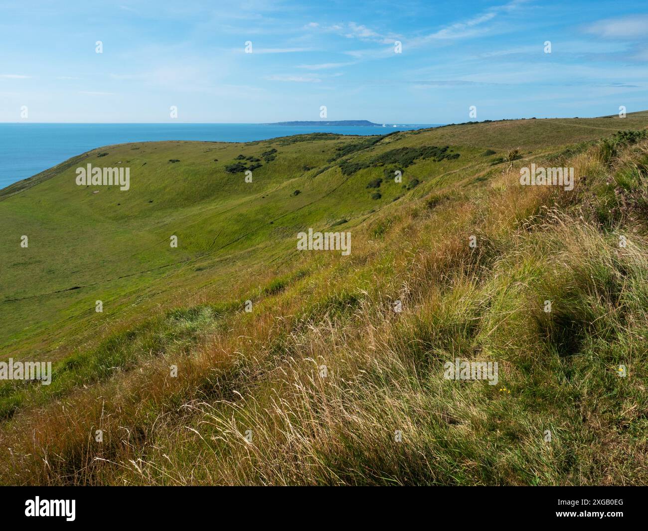 Prairies rugueuses et plaines de craie près de Swyre Head avec Portland Bill Beyond, Dorset, Angleterre, Royaume-Uni, septembre 2021 Banque D'Images
