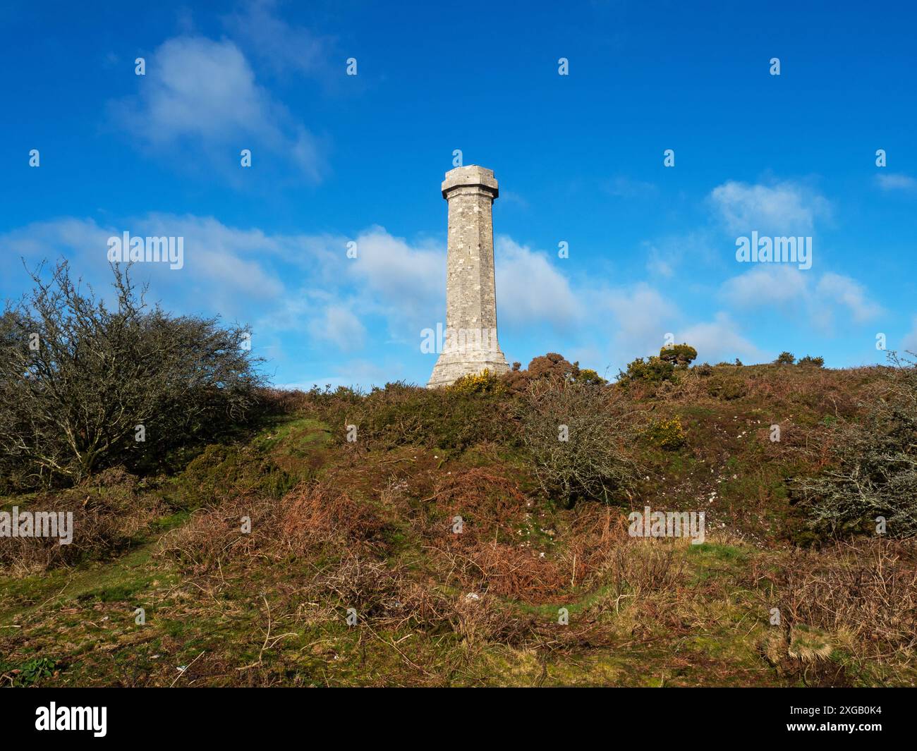 Hardy Monument on Black Down près de Portesham, Dorset, Angleterre, Royaume-Uni, février 2022 Banque D'Images