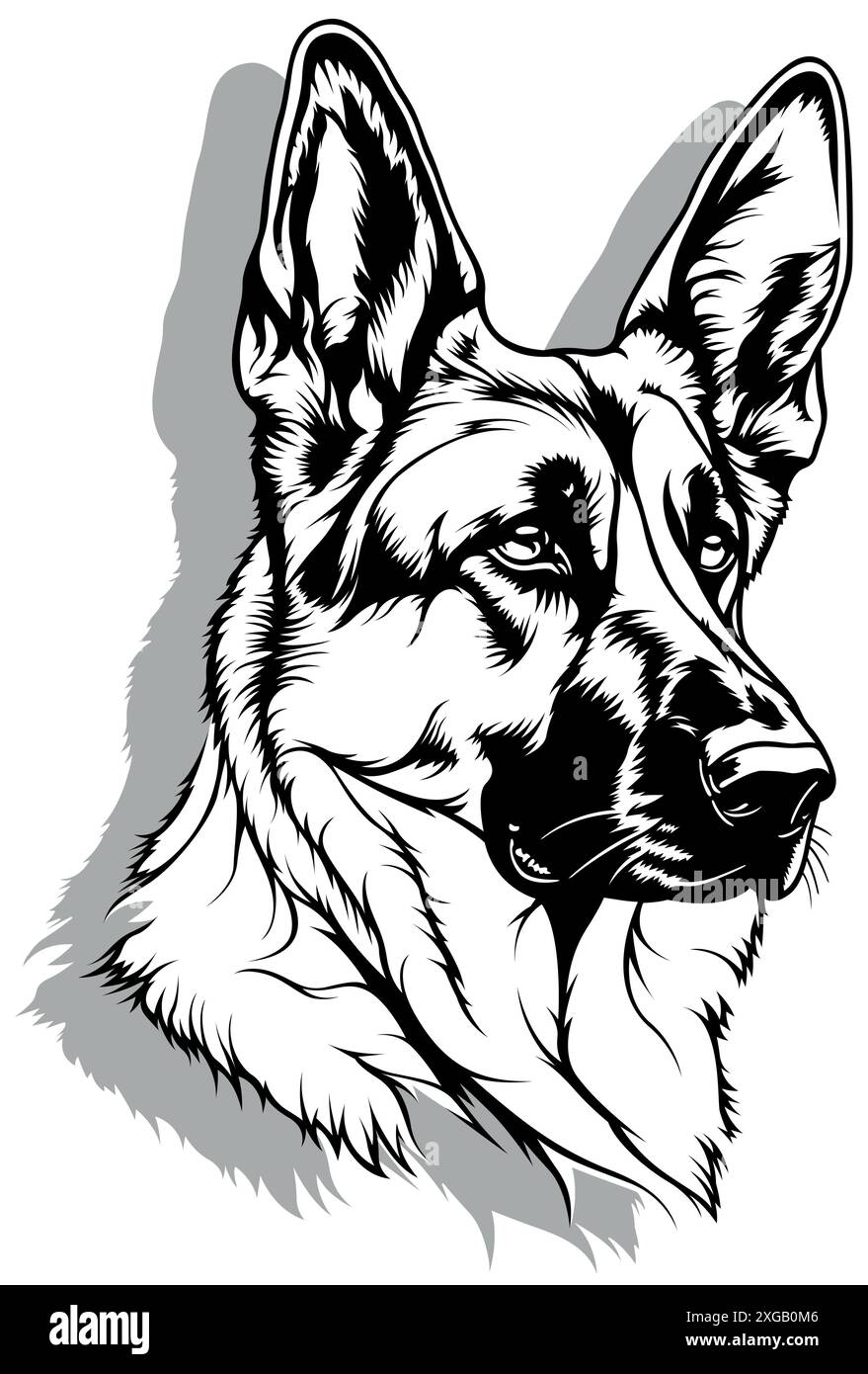 Dessin de la tête d'un berger allemand Illustration de Vecteur