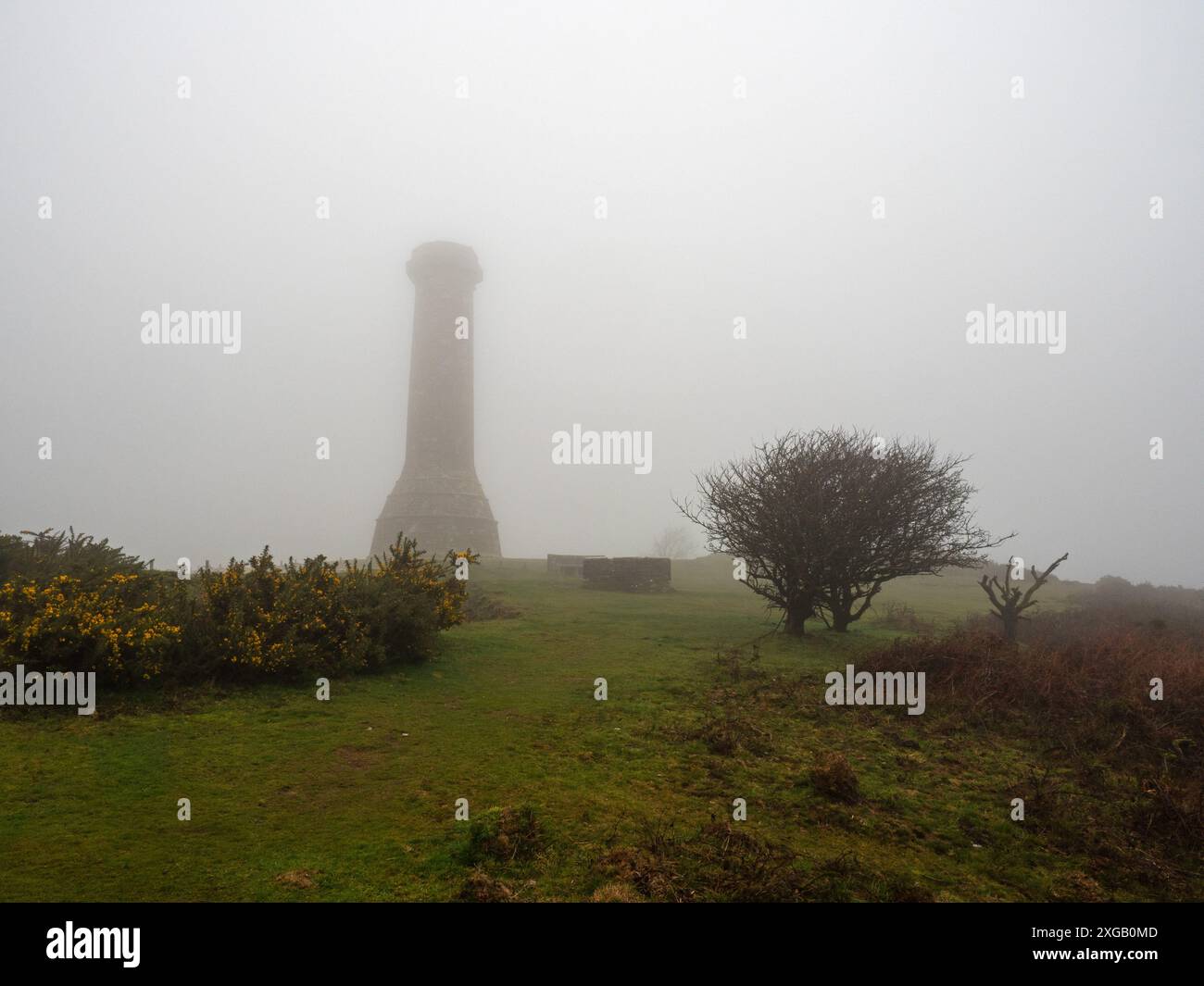Hardy Monument dans un nuage bas sur Black Down près de Portesham, Dorset, Angleterre, Royaume-Uni, février 2022 Banque D'Images