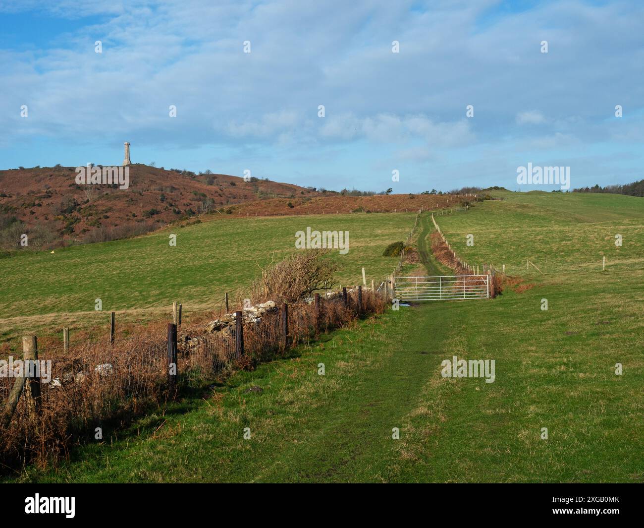 Hardy Monument sur Black Down depuis South Dorset Ridgeway, près de Portesham, Dorset, Angleterre, Royaume-Uni, février 2022 Banque D'Images