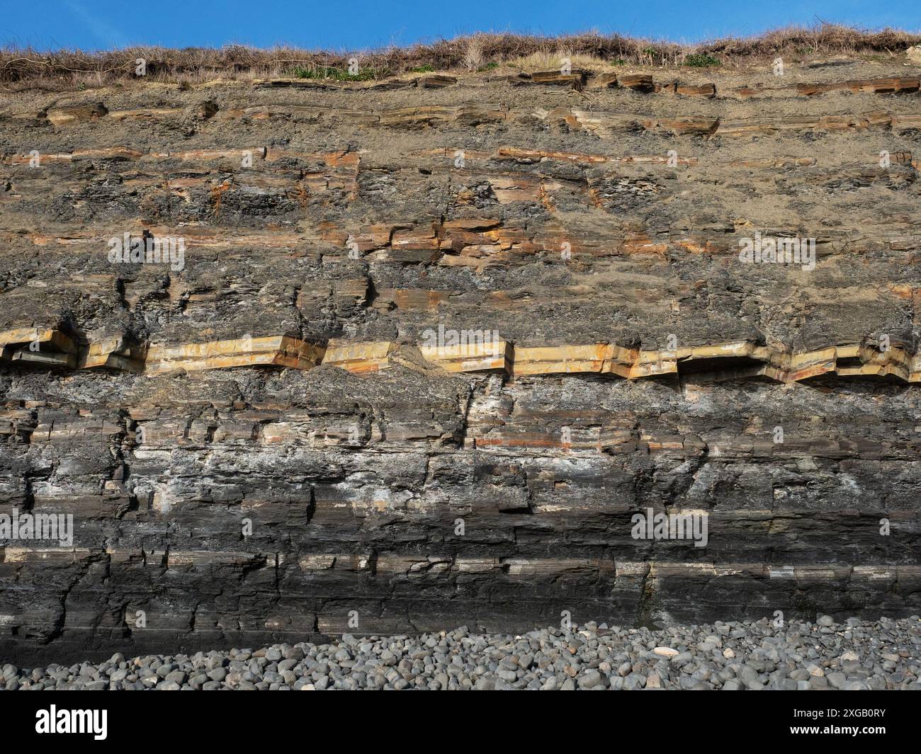 Falaise montrant des bandes d'argile de Kimmeridge et de schiste bitumnineux, baie de Kimmeridge, site du patrimoine mondial de la côte jurassique, île de Purbeck, Dorset Banque D'Images