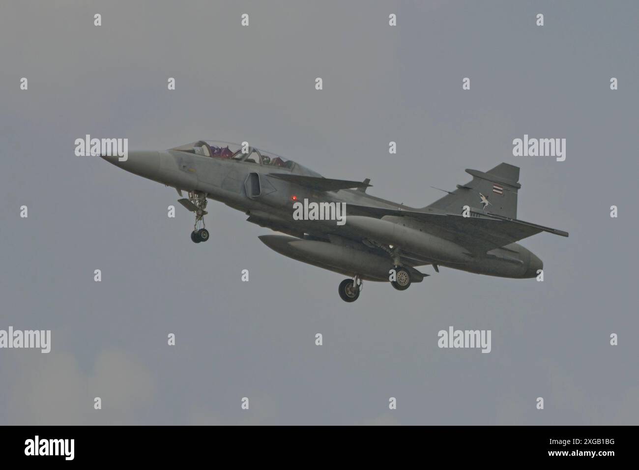 La Royal Thai Air Force JAS 39 Gripen avait quitté le pays pour participer à l'exercice Pitch Black en Australie. Banque D'Images