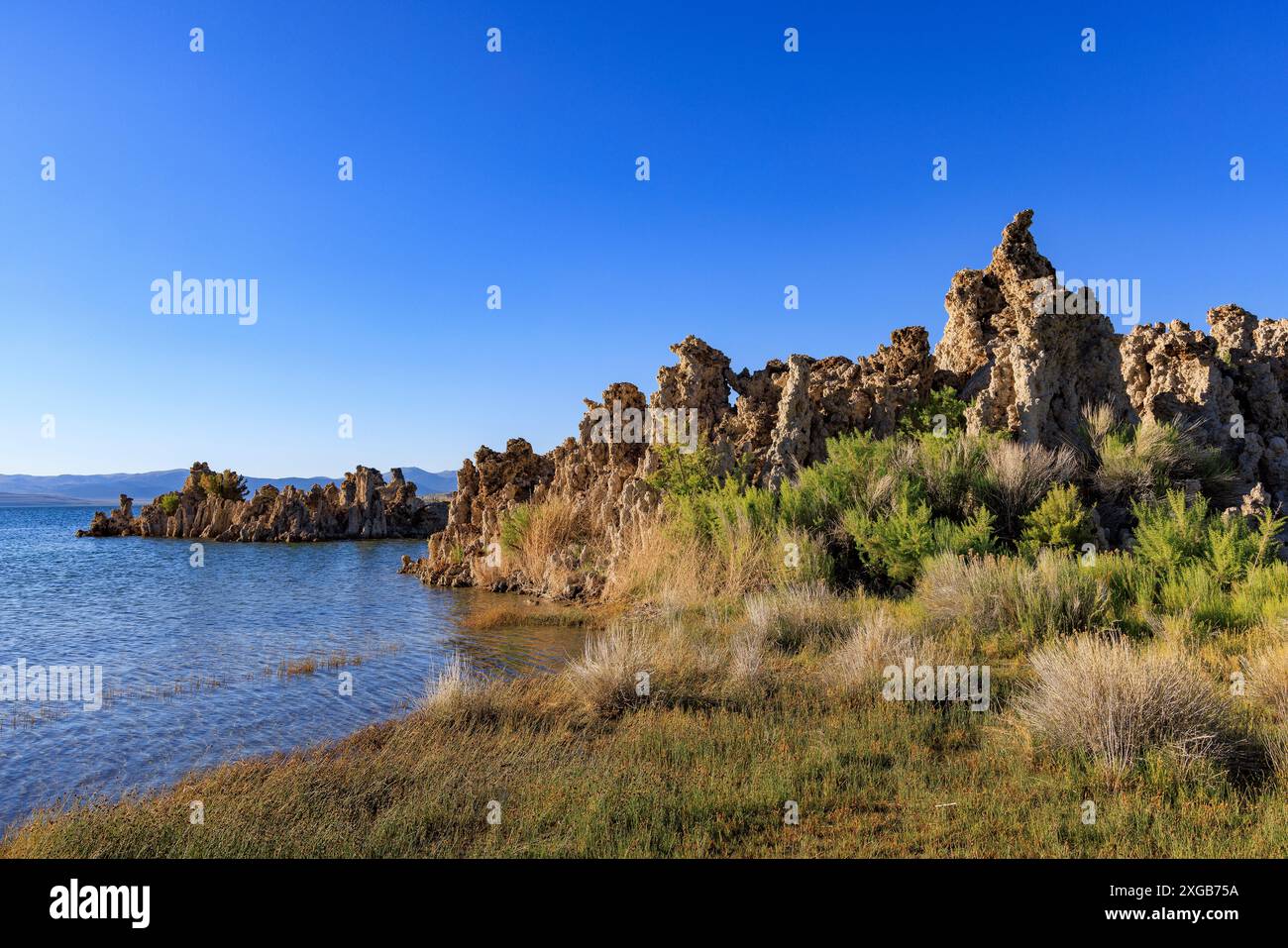 Ceci est une vue des formations rocheuses de Tufa le long de la rive du lac Mono près de Lee Vining, comté de Mono, Californie, États-Unis. Banque D'Images