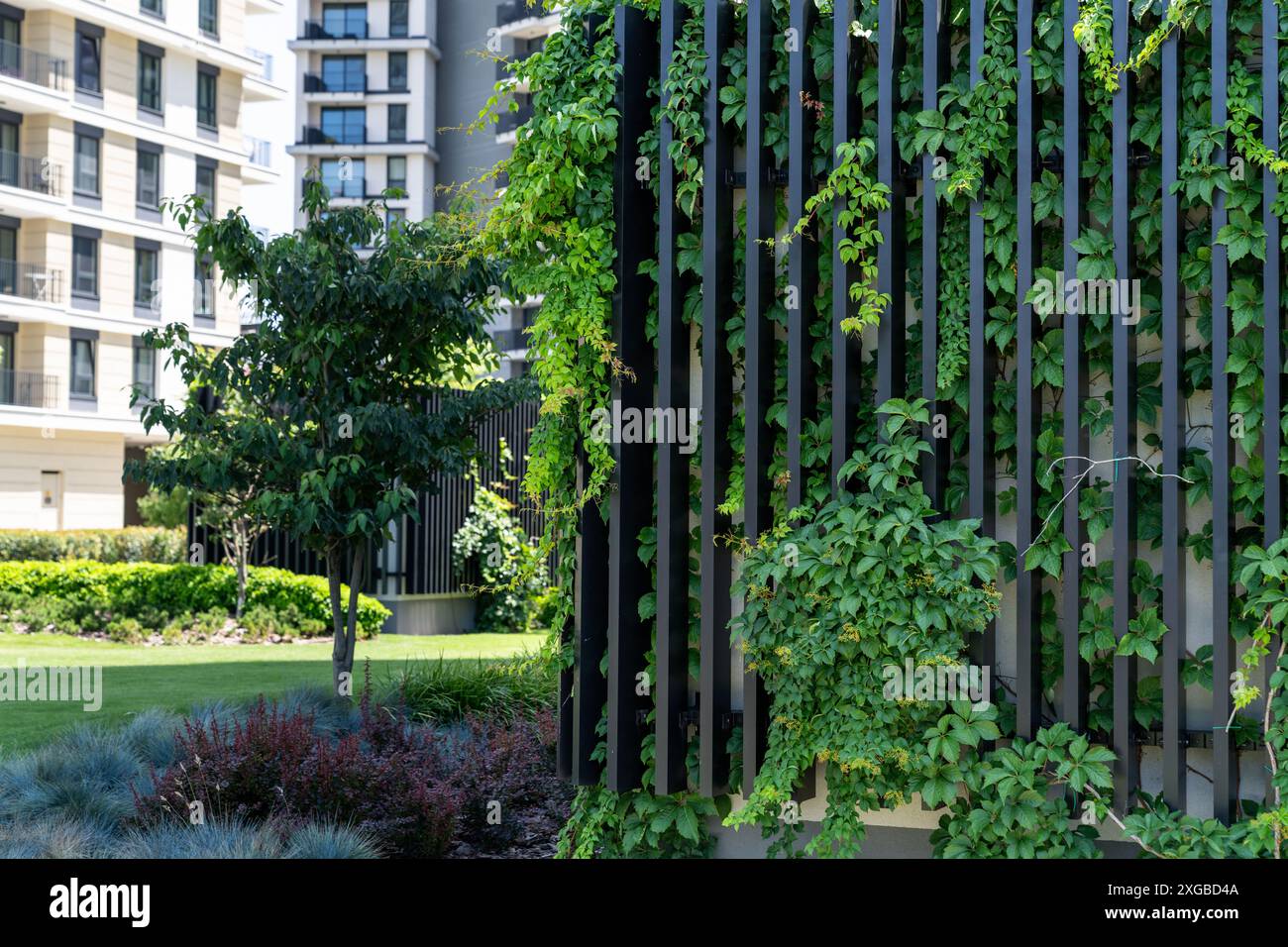 Jardin vertical sur un mur vert. Espace urbain respectueux de l'environnement. Banque D'Images