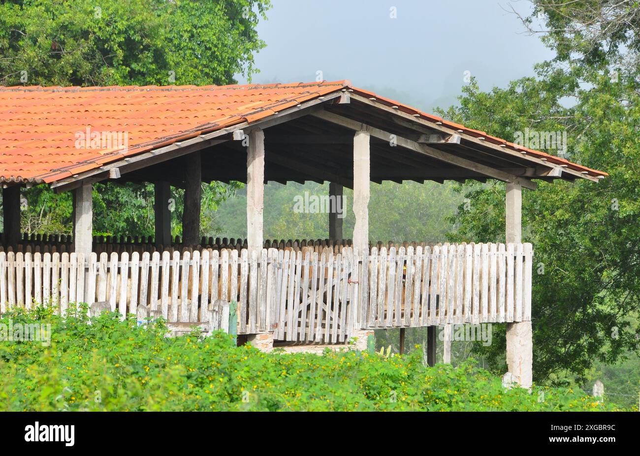 Façade du corral de chèvres et de moutons corralled, c'est la forme traditionnelle de l'agriculture sur la ferme rurale Banque D'Images