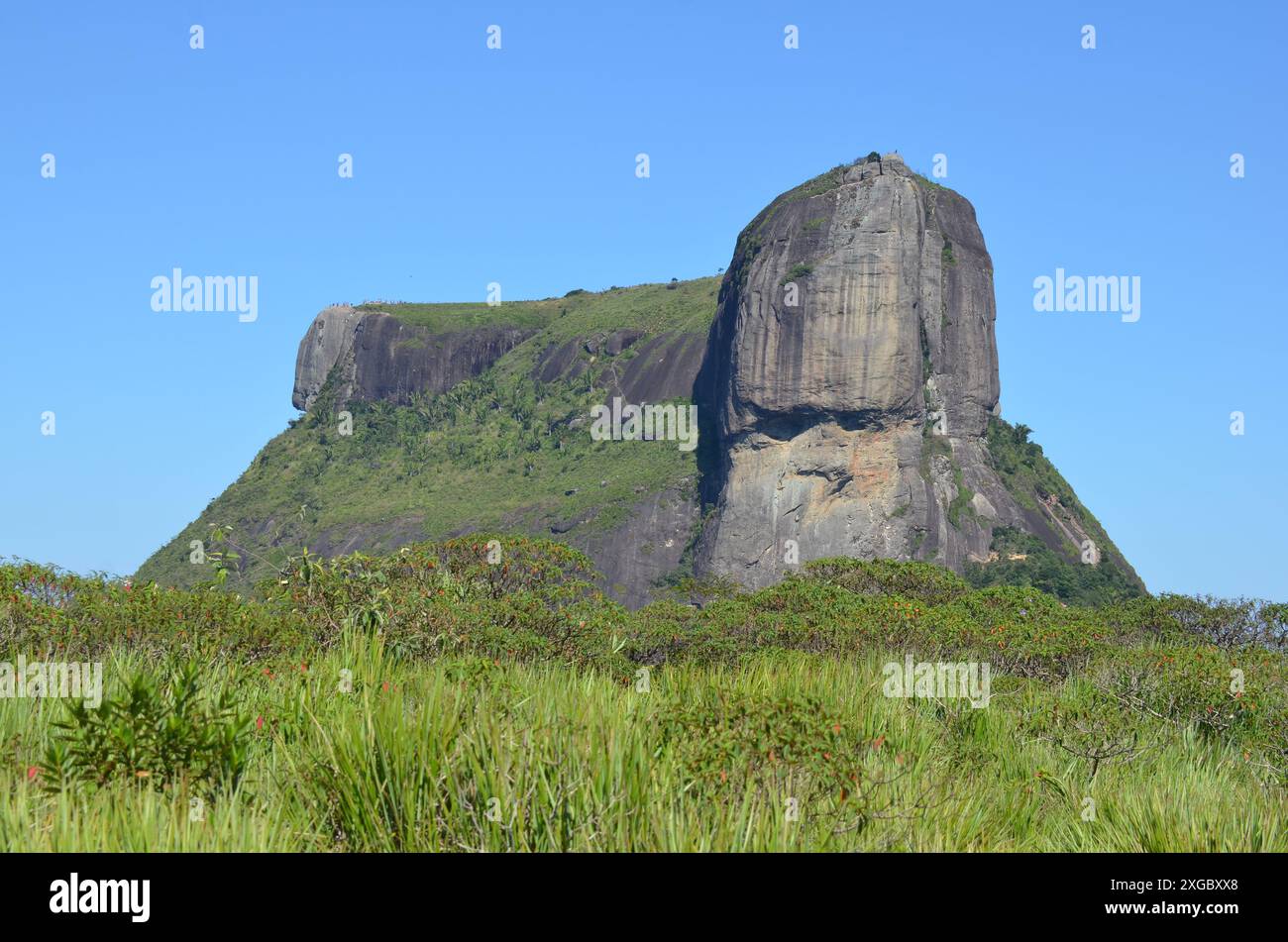 Vue large de la belle Pedra da Gávea (rocher de Gavea) depuis un point de vue à Pedra Bonita (belle pierre) - Rio de Janeiro, Brésil Banque D'Images