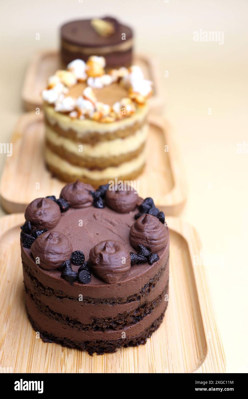 Assortiment de mini-gâteaux saisonniers. Noisette, opéra, caramel salé et chocolat double. Variété infinie, service facile, couches humides, glaçage riche. Banque D'Images