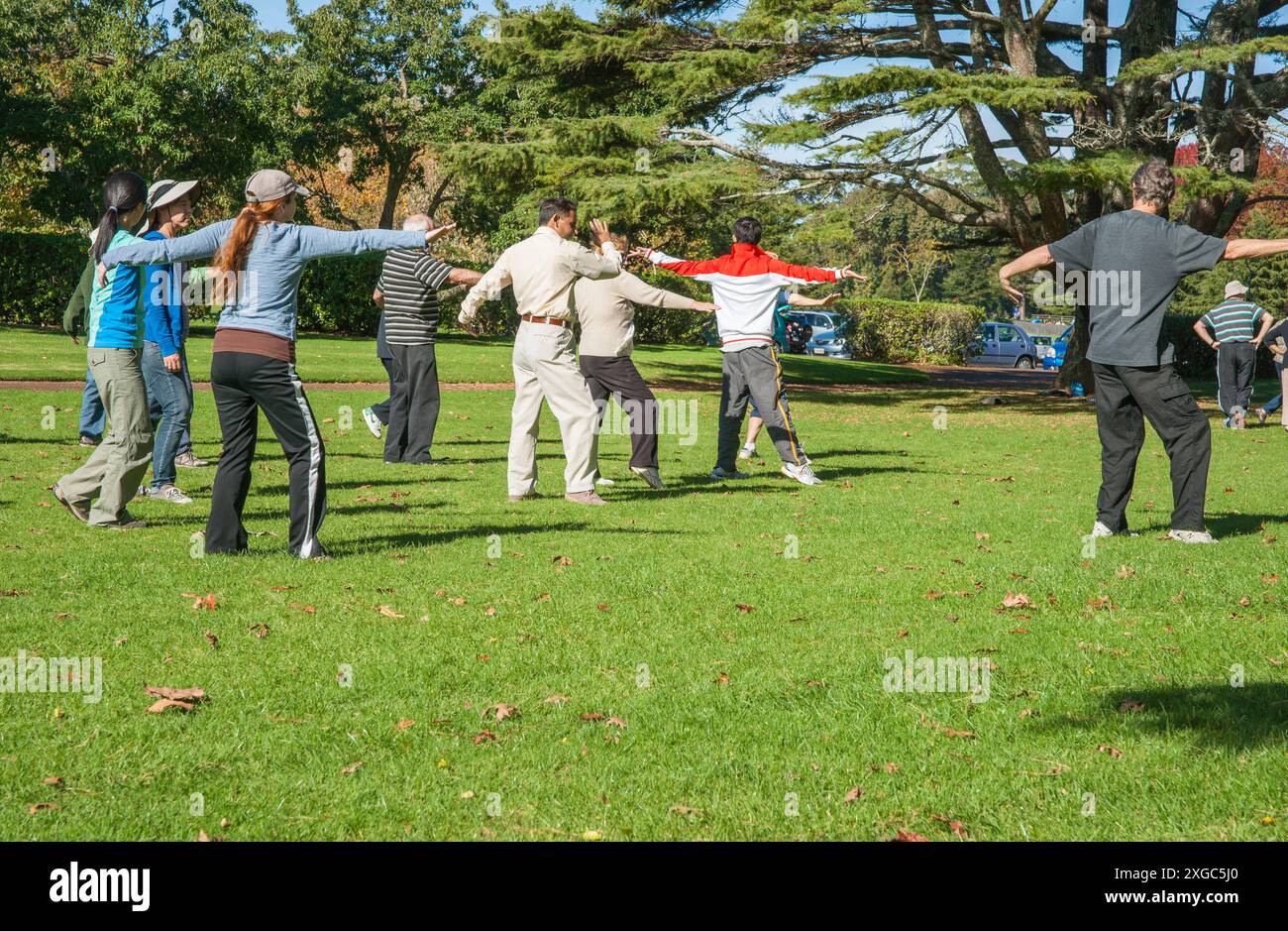 Auckland Nouvelle-Zélande - 12 mai 2012 ; personnes en groupe pratiquant le tai chi dans le parc Banque D'Images