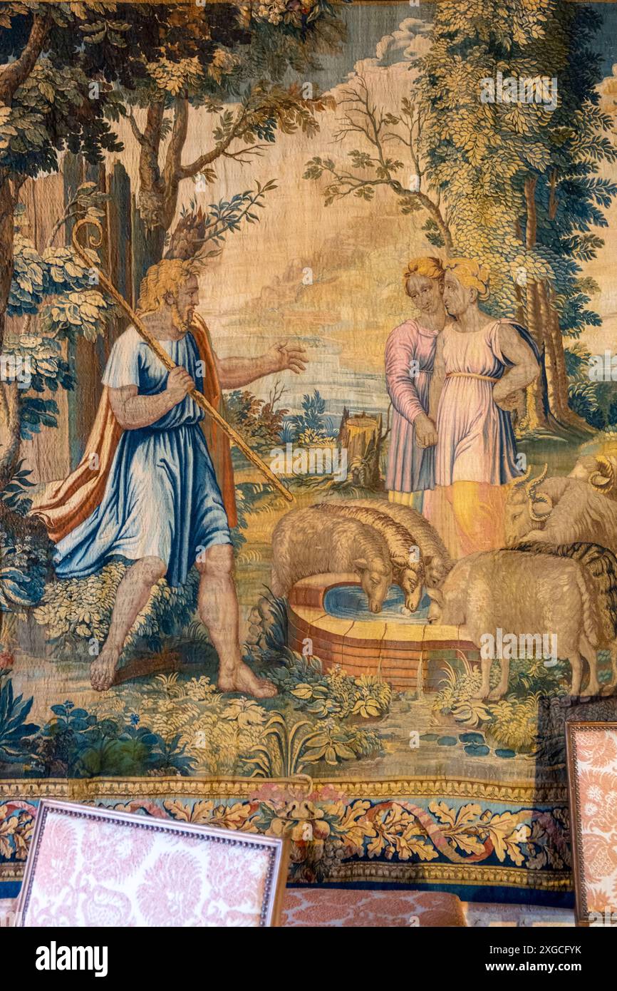 France, Orne, Parc naturel régional Normandie du Maine, château de Carrouges, l'antichambre d'honneur Banque D'Images