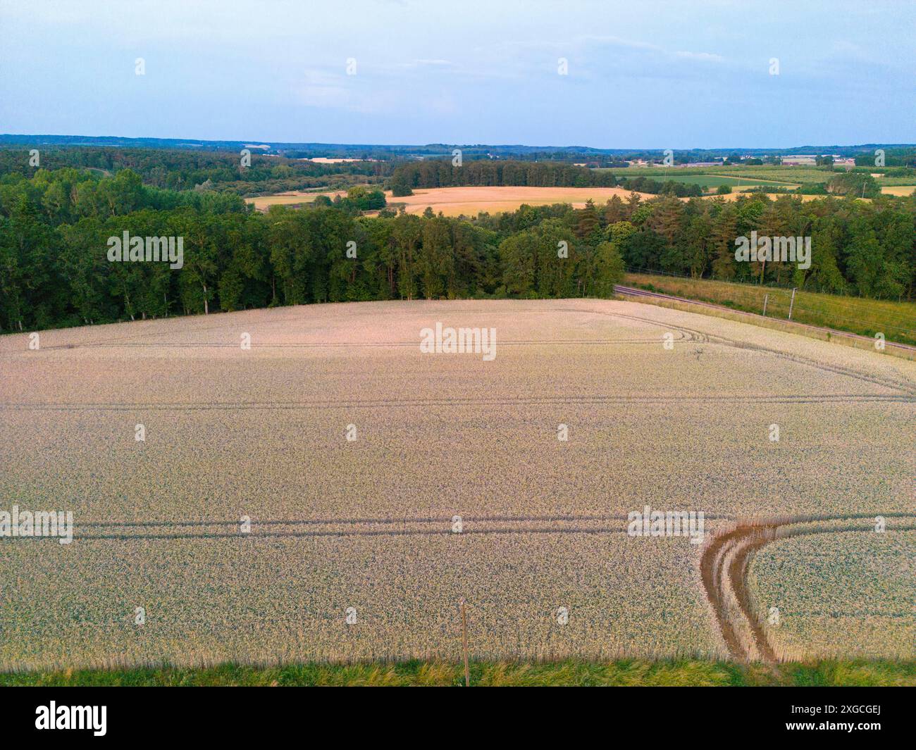 France, Orne, Parc naturel régional Normandie Maine, Carrouges, champs (vue aérienne) Banque D'Images