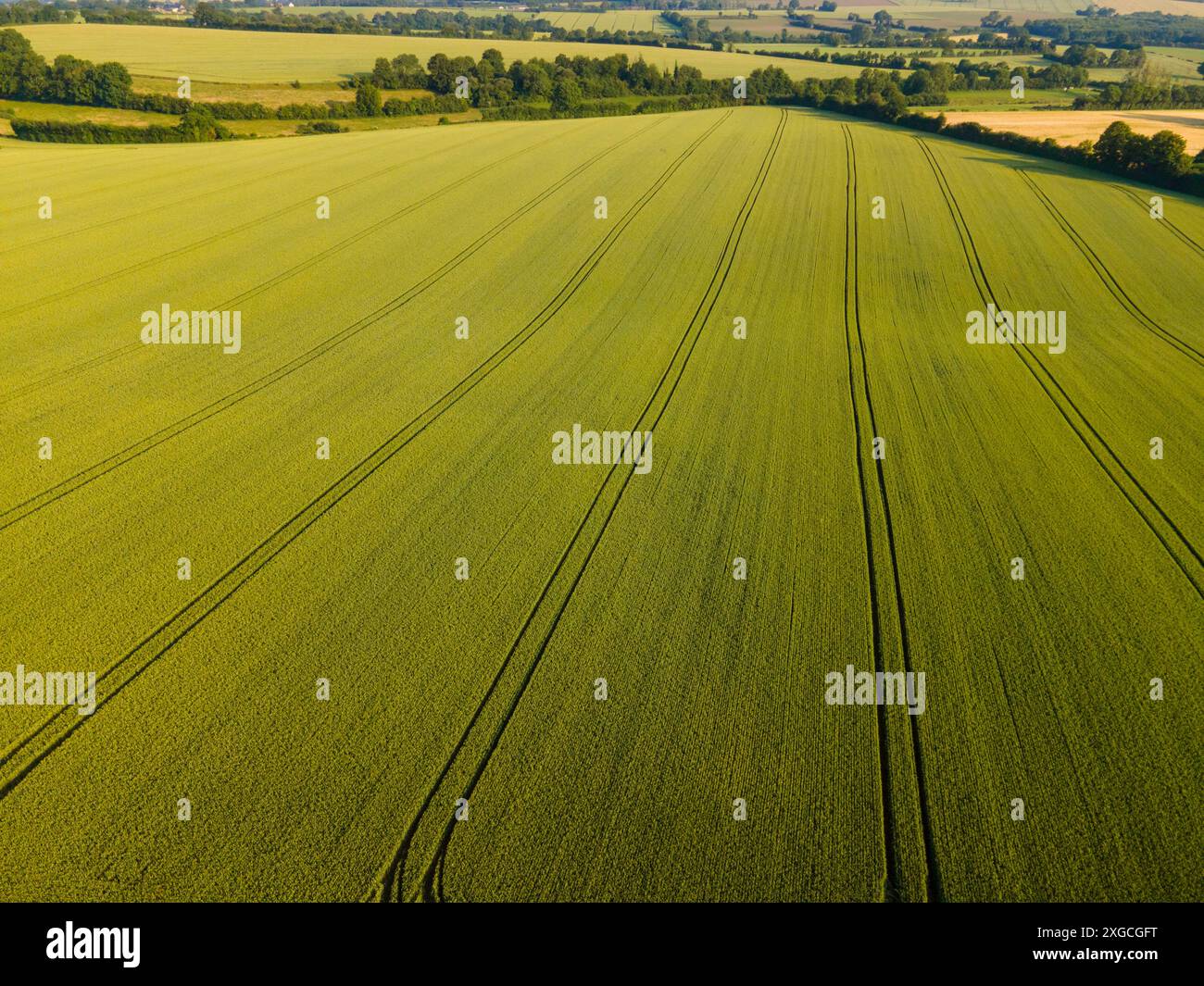 France, Orne, Parc naturel régional Normandie Maine, Carrouges, champs (vue aérienne) Banque D'Images