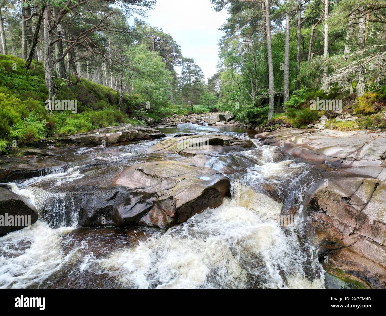 L'eau de la rivière Tanar qui traverse la réserve naturelle nationale de Glen Tanar dans le parc national de cairngorms, Aberdeenshire Écosse Banque D'Images