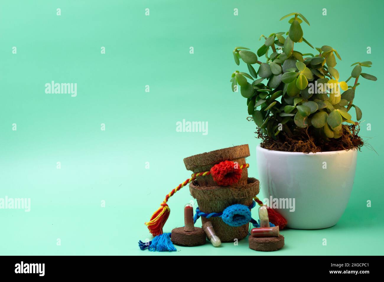 Planter des graines d'amour et de soin ce Raksha Bandhan Banque D'Images