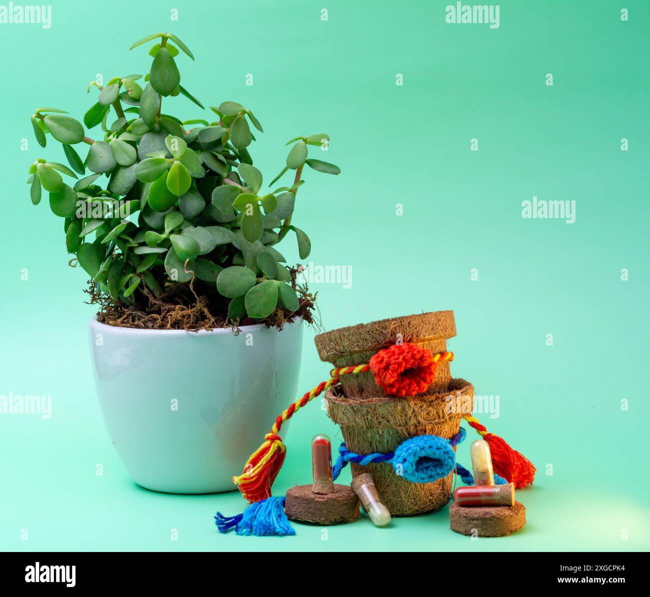 Planter des graines d'amour et de soin ce Raksha Bandhan Banque D'Images
