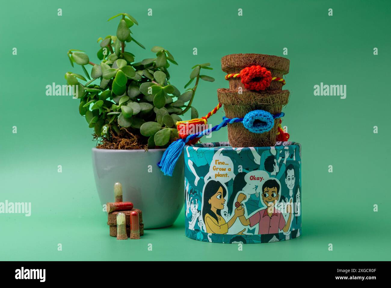 Célébrations éco-responsables de Rakhi avec la beauté des plantes Banque D'Images Célébrations éco-responsables de Rakhi avec la beauté des plantes Banque D'Images