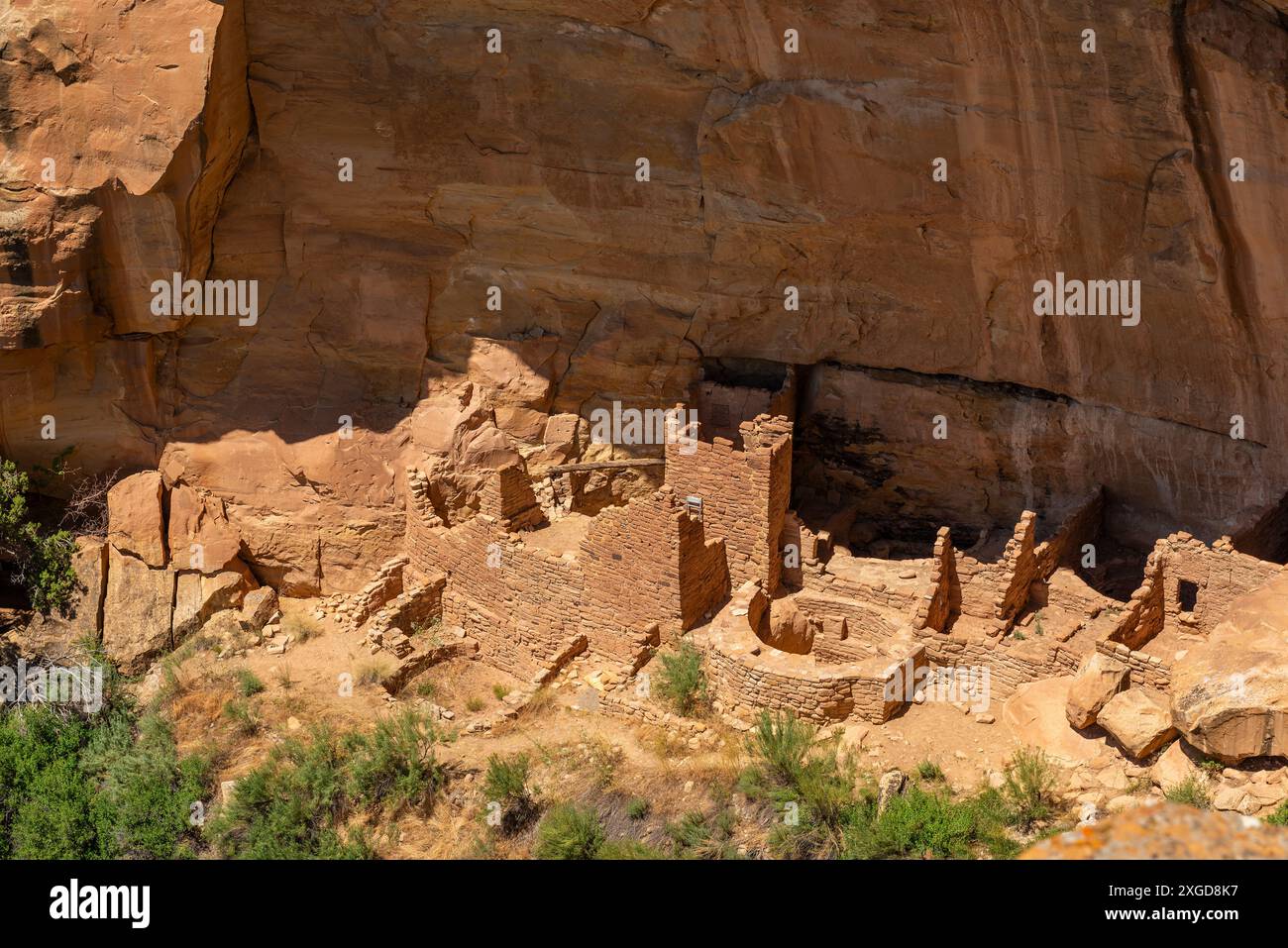 Long House Cliff Dwelling site archéologique des peuples indigènes Pueblo et Anasazi, parc national de Mesa Verde, Colorado, États-Unis. Banque D'Images