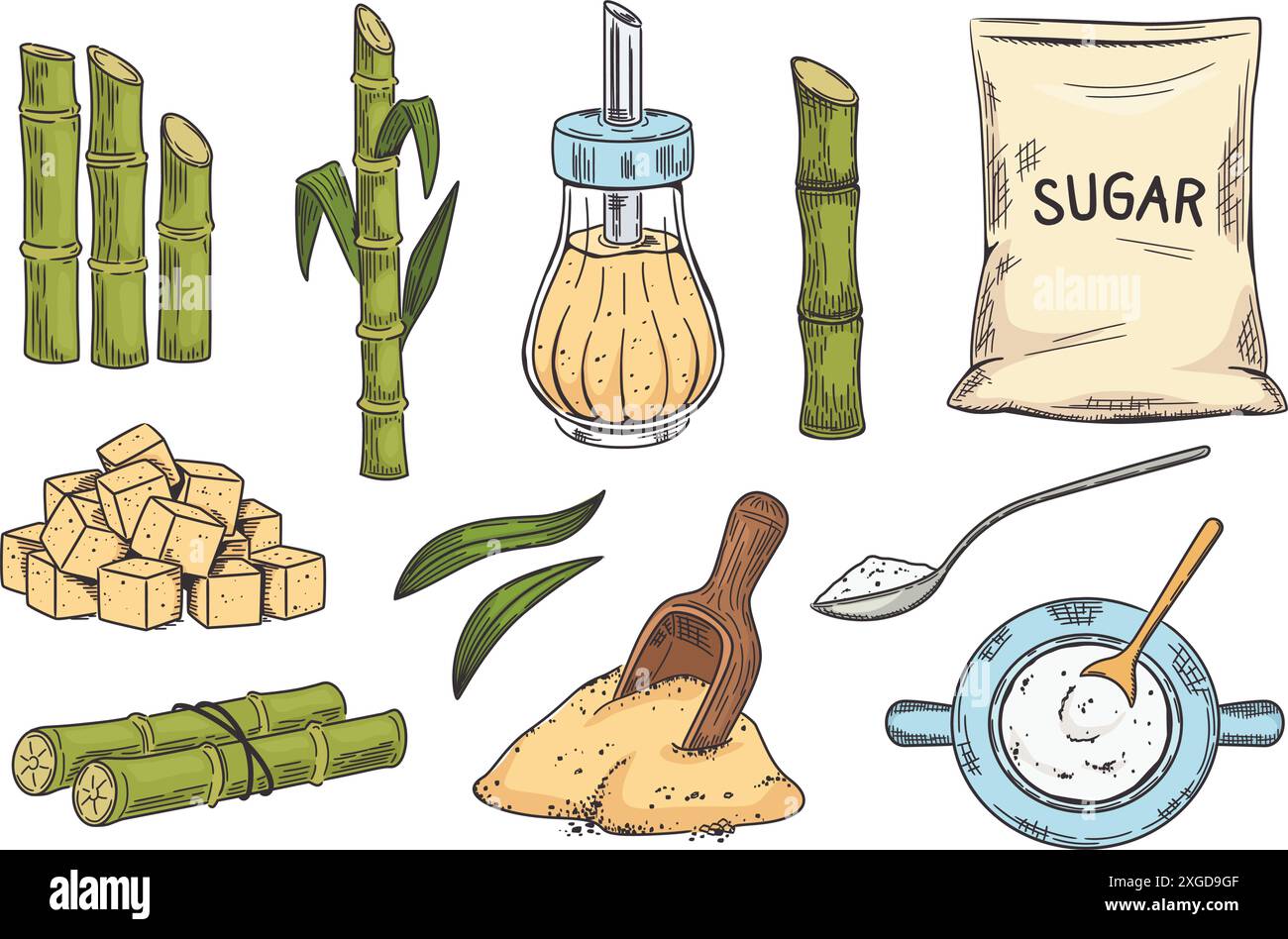 Esquissez le sucre de canne. Canne à sucre et cassonade foncée dans un shaker et des cubes. Ensemble d'illustration vectorielle de scoop et de sac dessiné à la main. Illustration de Vecteur