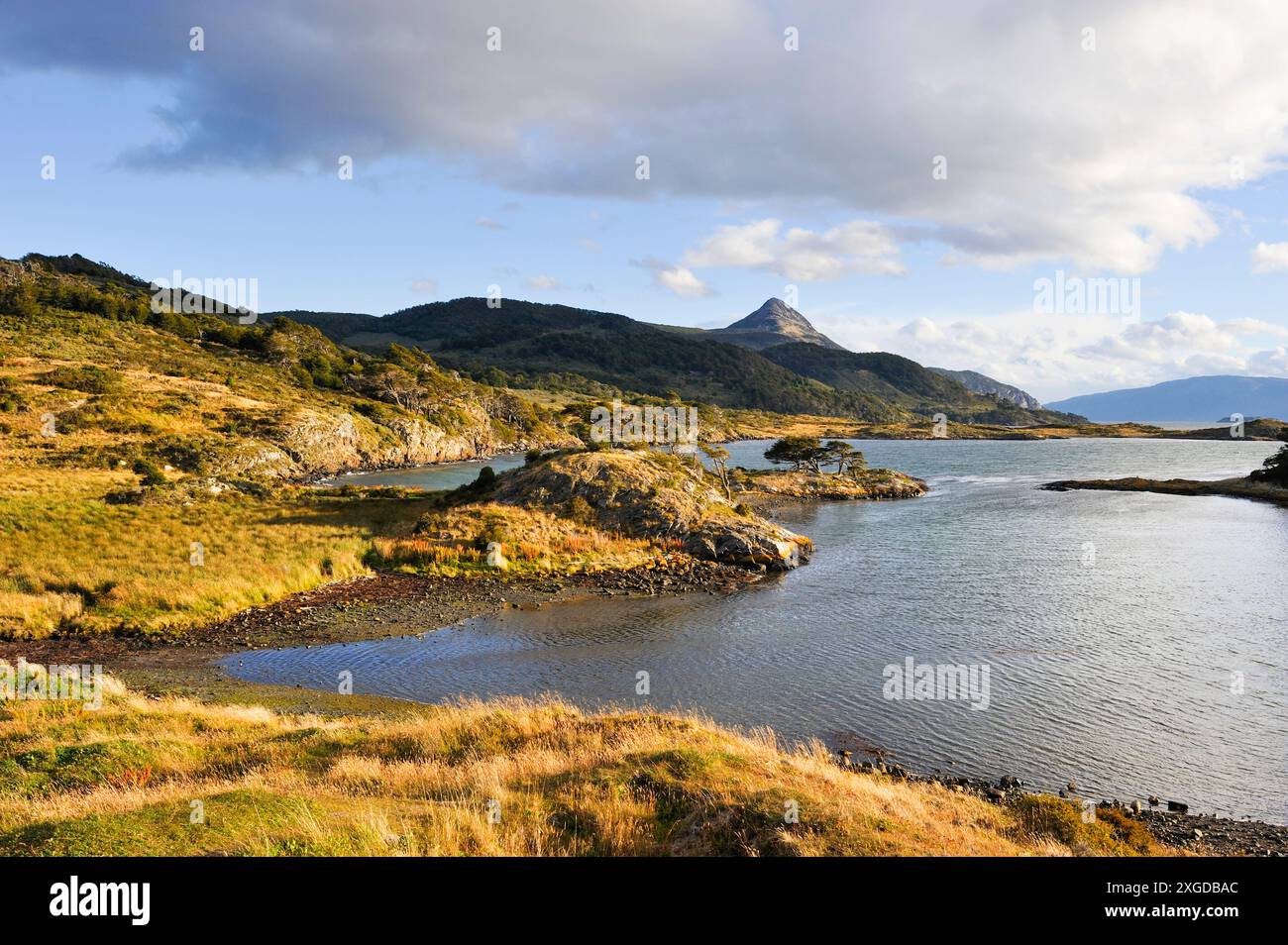 La baie Wulaia, l'île Navarino, Terre de Feu, Patagonie, Chili, Amérique du Sud Banque D'Images