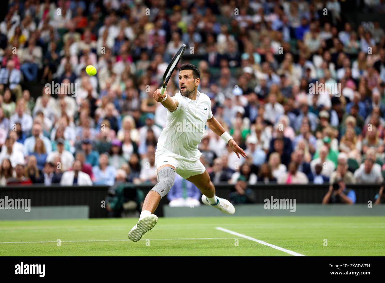 Wimbledon, Londres, Royaume-Uni. 08 juillet 2024. Novak Djokovic se jette pour une volée à revers lors de son match de quatrième tour contre Holger Rune du Danemark à Wimbledon aujourd’hui. Crédit : Adam Stoltman/Alamy Live News Banque D'Images