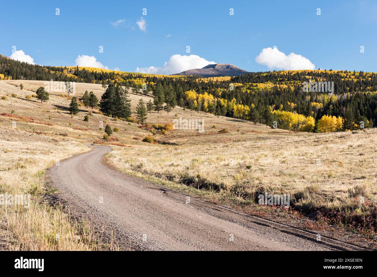 Une route de service forestier mène à 12 400 pieds Del Norte Peak au début de l'automne. Situé près de South Fork Colorado dans la forêt nationale de Rio Grande. Banque D'Images