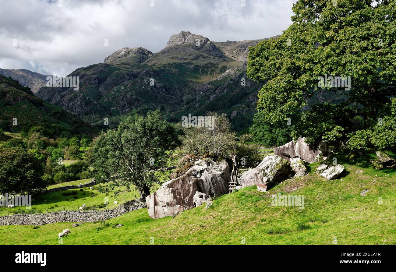 Copt Howe coupe préhistorique et anneau marqués rochers à Chapel Stile. Alias Langdale Boulders. Le site de l'usine Langdale Pikes hache derrière. Cumbria, Angleterre Banque D'Images